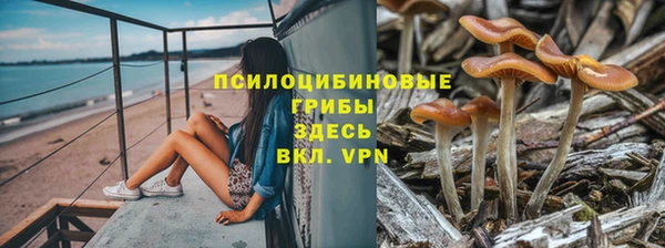соль ск Богородск