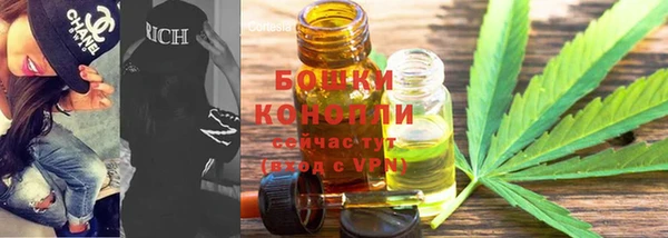 соль ск Богородск